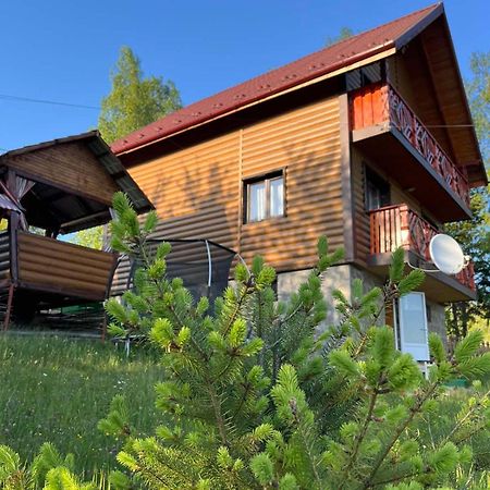 Сімейний Котедж Краєвид Mykulychyn Exterior photo
