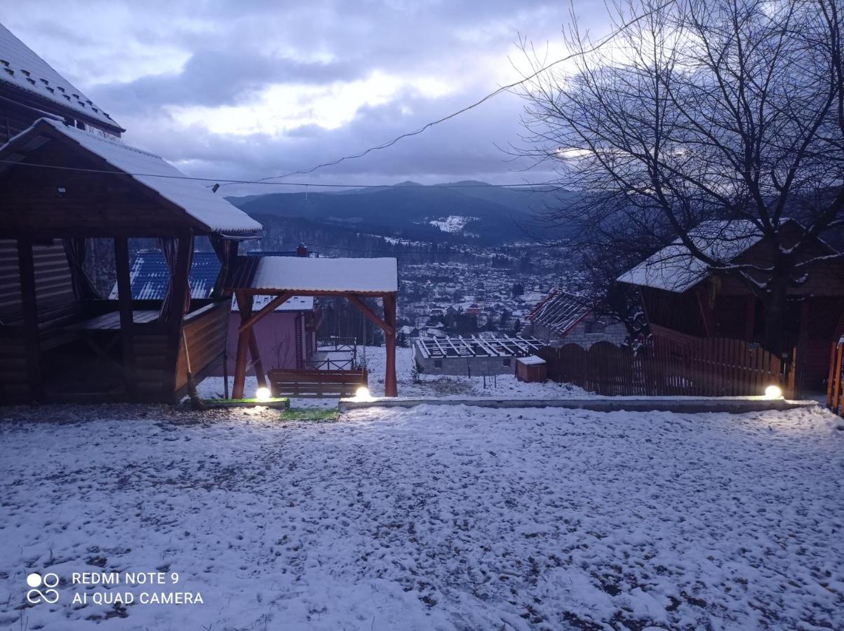 Сімейний Котедж Краєвид Mykulychyn Exterior photo