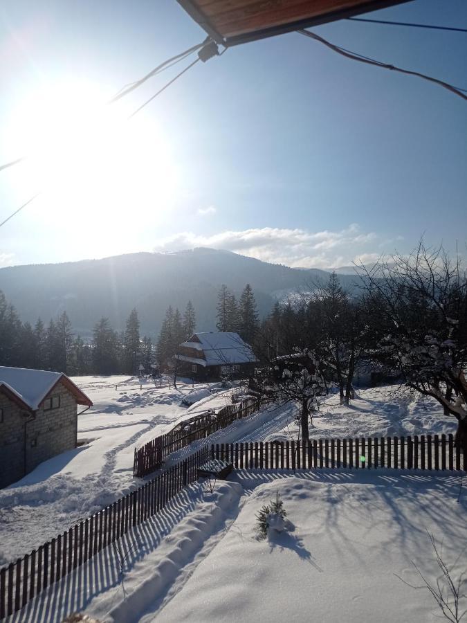 Сімейний Котедж Краєвид Mykulychyn Exterior photo