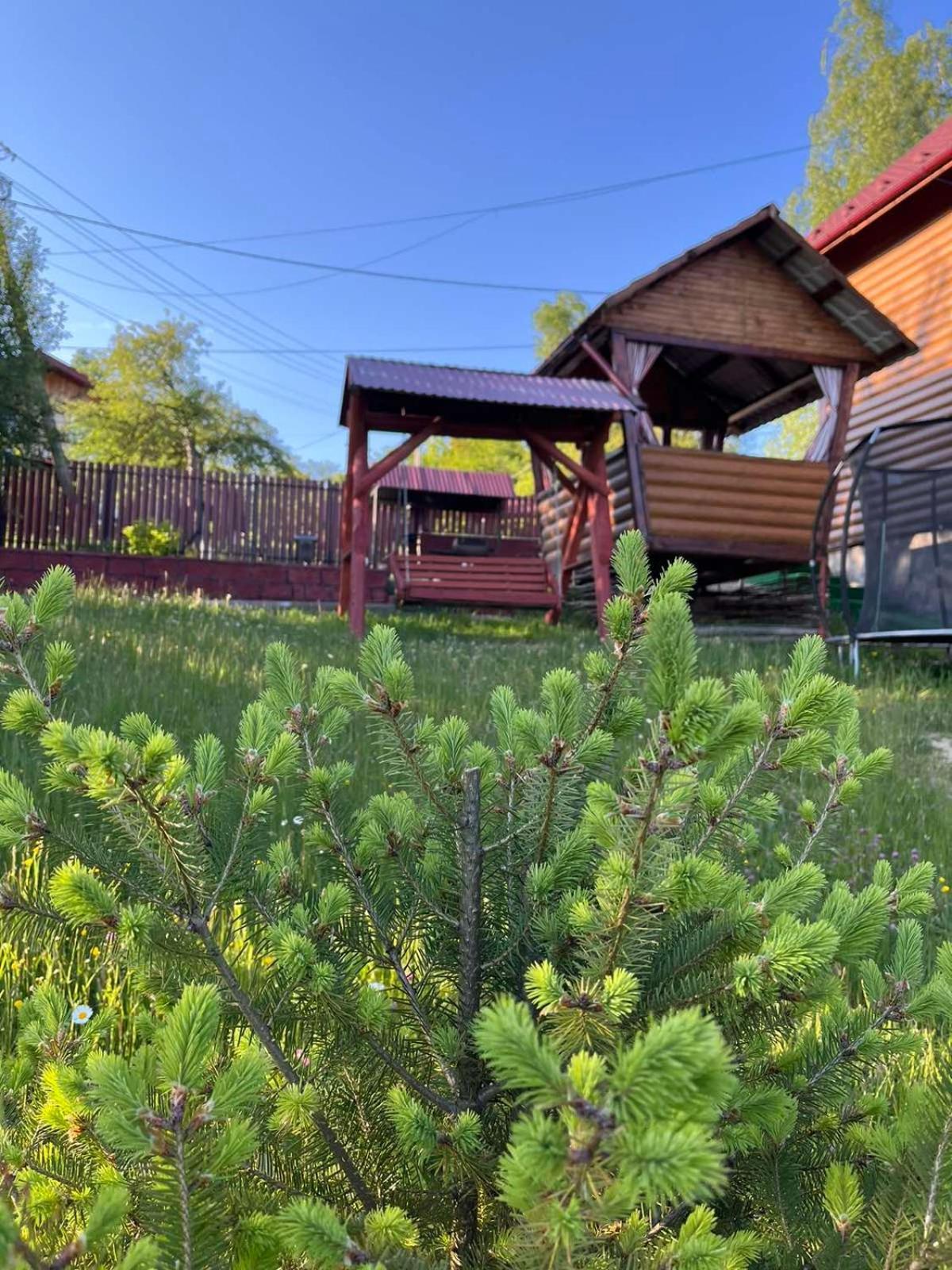 Сімейний Котедж Краєвид Mykulychyn Exterior photo
