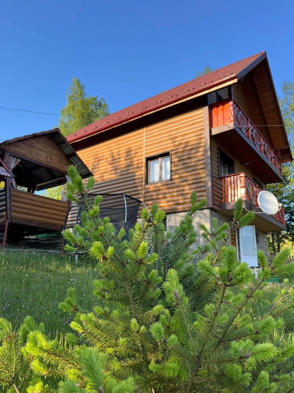 Сімейний Котедж Краєвид Mykulychyn Exterior photo