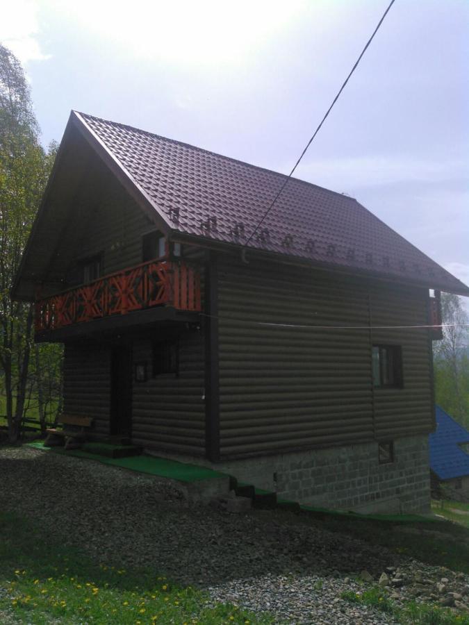 Сімейний Котедж Краєвид Mykulychyn Exterior photo